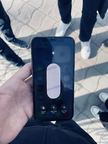 IPhone 13 Pro, Графит, Кабель