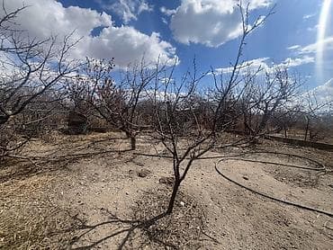 купить вагон дом бу: 4500 соток, Для сельского хозяйства, Договор купли-продажи, Тех паспорт — 4