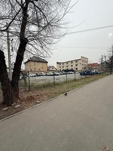 вазы бишкек: Участок — 1