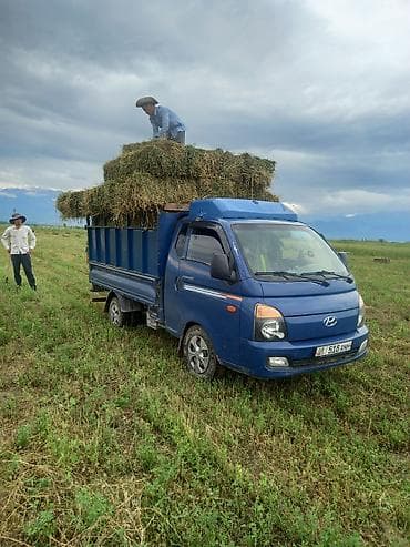 format kg: Грузоперевозки — быстро, надёжно, доступно. Услуги: - Доставка щебня — 7