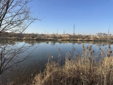 купить дом в манасе: 7 соток, Для бизнеса, Красная книга — 5