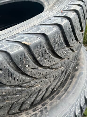 разноширокие шины: Шиналар — 1