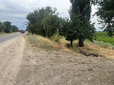 зеленый городок: 420 соток, Для сельского хозяйства, Договор купли-продажи — 2