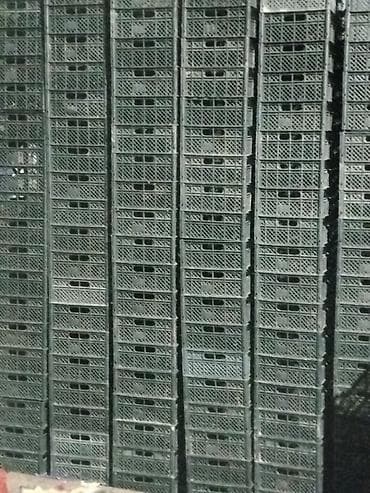 ящики: Пластиковый Ящик, Б/у — 2