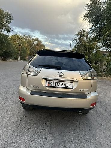 леопард авто: Lexus RX: 2004 г., 3.3 л, Автомат, Бензин, Кроссовер — 2