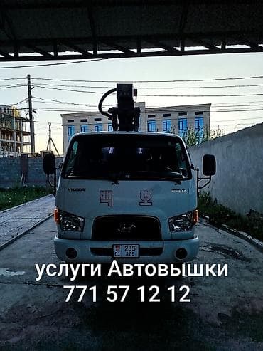 гидро кран: Автовышка, Hyundai — 1