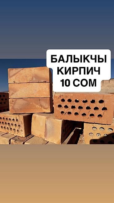 мед банки: Пустотелый, дырчатый, Жженый кирпич, Полублок, 250×120×90 — 1