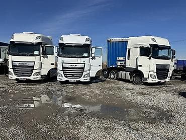 обувь 33: Тягач, DAF, 2019 г., Шторный — 8