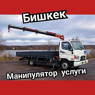 дезинсекция клопов в бишкеке холодным туманом отзывы: Услуги манипулятора в Бишкеке. - Бортовой грузовик с — 1