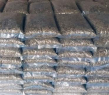 Акшактар, ун, шекер: Семечки подсолнечника (полосатые) есть в наличии больше 10 тонны - — 2