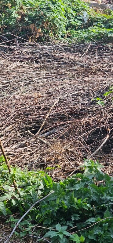 леса строительные купить: Дрова — 1