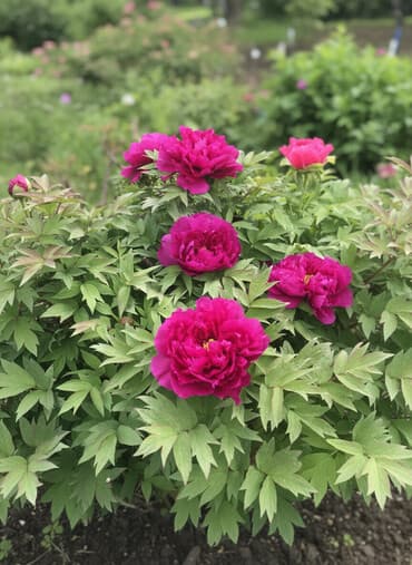 Сдаю Контейнер, 20 тонн, Дордой рынок, Собственник at lalafo.kg Сдаю Контейнер, 20 тонн, Дордой рынок, Собственник