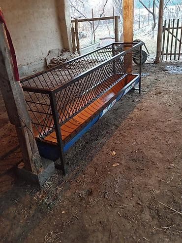 голова корова: Кормушки/яслы для КРС и мелкого рогатого скота - Конструкция — 3