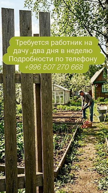 работа грушчик: Вакансия: помощник на дачу (2дня в неделю подробнее по телефону — 1