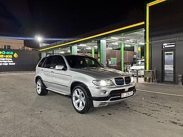 BMW X5: 2005 г., 4.8 л, Автомат, Бензин, Кроссовер
