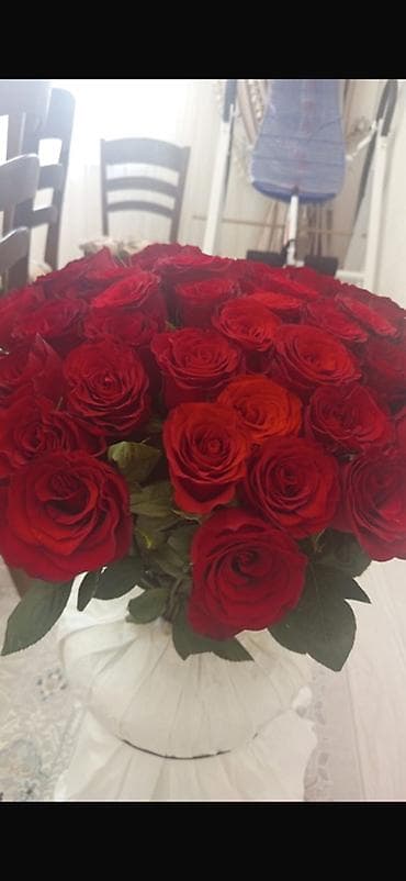 букет 101 роза: СПРОЧНО ПРОЛДАЮ БУКЕТ Букет из красных роз — пышная круглая шляпная — 3