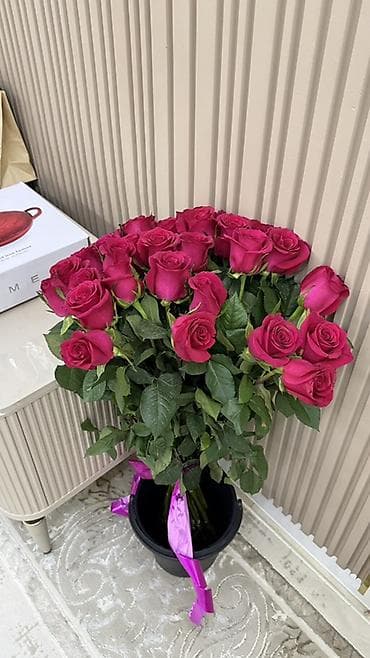 Букет из ярко‑малиновых роз . Метровые💕(крупный сорт, классическая
