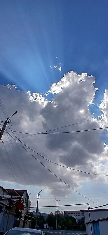 уборка кв: Нужна домработница, знающая свои обязанности с опытом работы — 1