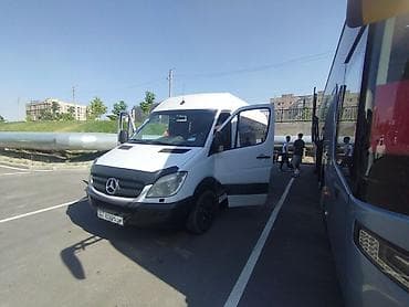 e 55 amg: Пункт назначения: Все направления, Количество мест: 18, Лицензия №: 034781 — 5