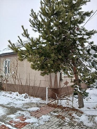 продажа дома новопокровка: Дом, 85 м², 6 комнат, Собственник, Евроремонт — 2