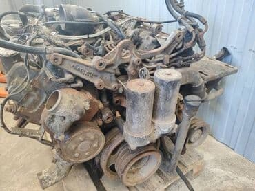 доберман купить щенка: Двигатели Мерседес Мерседес Актрос Мерседес Аксор Сетра Неоплан — 5