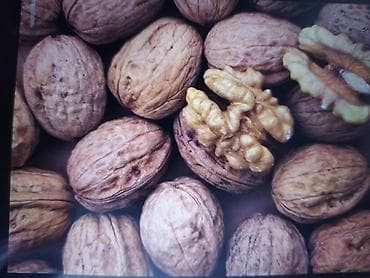 Грецкий орех в скорлупе, осенний урожай 110 сом. - Натуральные