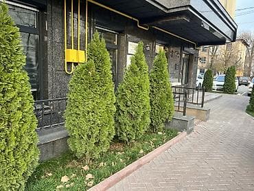 Коммерциялык мүлк: Аренда коммерческого помещения в современном жилом комплексе — 4