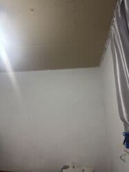 аренда квартир с подселением на долгий срок: 1 комната, С подселением — 1