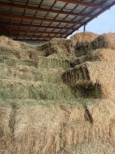 Продаю сено
Звонить по номеру at lalafo.kg Продаю сено
Звонить по номеру