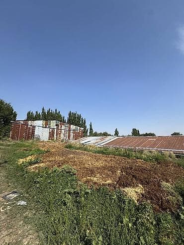 продаю ферма: 2400 соток, Для сельского хозяйства, Договор дарения — 4