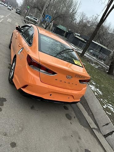 kia optima 2015: Hyundai Sonata: 2019 г., 2 л, Автомат, Газ, Седан — 5