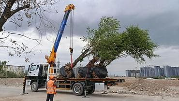 Транспорт: Услуги манипулятора/кран-манипулятора для погрузки, перевозки и — 2