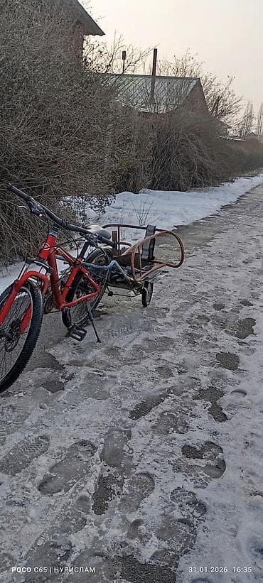 велосипед trix: Горный/прогулочный велосипед X-Trike, колеса 24" - Рама: стальная — 1