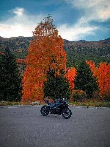 купить бу электромотоцикл: Электро-Спортбайк Ducati Panigale 1199s •Мощность: 3000 W (пик 12000 — 8