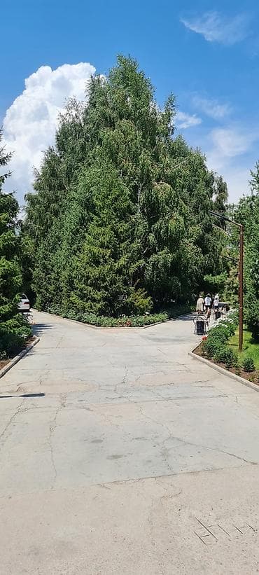 beach: Гостиница на Иссык-Куле, Royal beach, Чок-Тал, 6 мест — 10