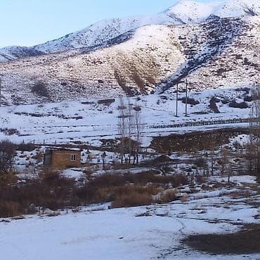 московская логвиненко: 6 соток, Красная книга — 2