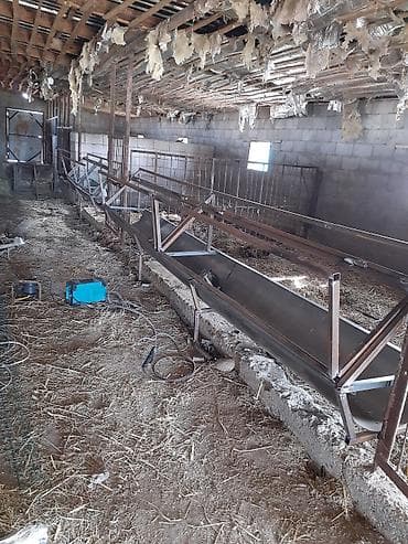 ждём арпа: Представляем вам сараи под ключ навесы кормушки для баранов овец — 3