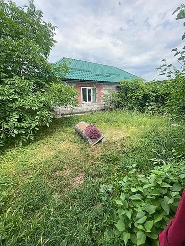 Кыймылсыз мүлк: 25 соток, Кызыл китеп — 5