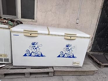 промышленная морозильная камера купить: Продаются морозилки в рабочем состоянии CHANGER BC/BD(W)-520 — 2