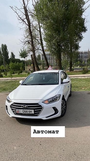 курсы вождения механика: Курсы вождения | (B) | Автошкола — 2