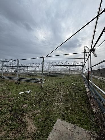 б у фермы: Сдам в аренду ангары между аэропортом и новым ошским рынком, так же — 9