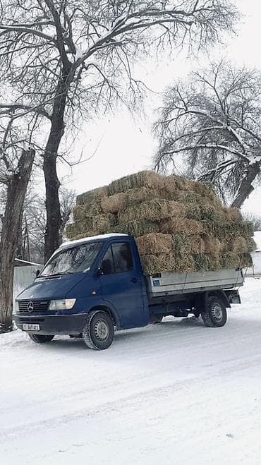 разбор зил бычок: Грузовое такси на базе Mercedes-Benz Sprinter. - Перевозка различных — 2