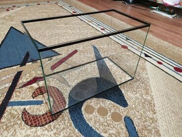 аквариумная рыбка: Аквариум новый. Объём 40 л. Есть аквариумные рыбки, растения — 4