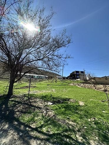 куплю участок дача: 7 соток, Красная книга — 2