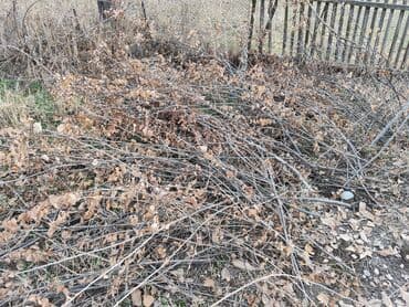 где купить дрова для бани: Дрова — 8