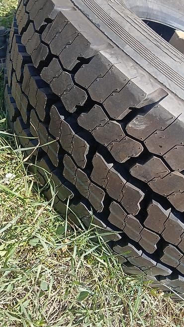 m5 e60: Шины 315 / 70 / R 22,5, Новый, 1 шт, Грузовики/Автобусы, Cordiant — 1