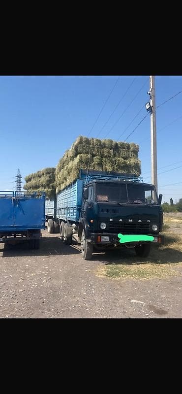 Кастра с сеном молодая плотные и большие тюки
