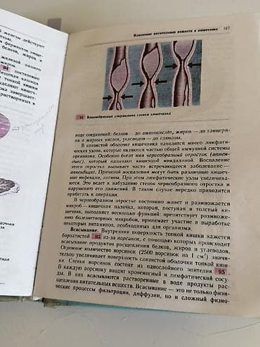 Китептер: Учебник: «Биология. Человек и его здоровье», 9 класс Авторы: А. М — 3