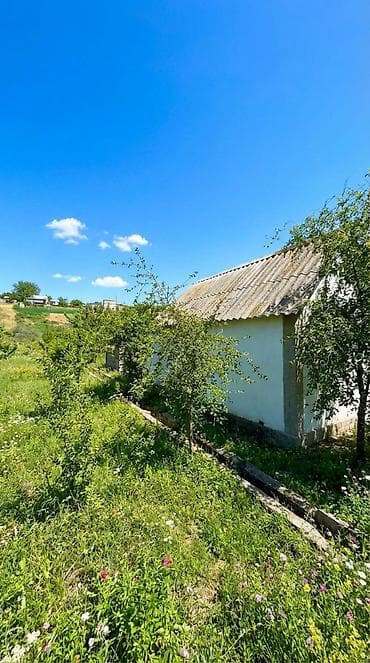 участок по первой линии: 10 соток, Для строительства, Красная книга, Договор купли-продажи — 8