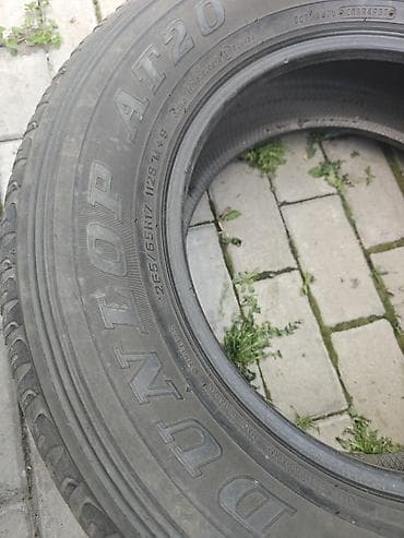 terrain: Шины 285 / 60 / R 18, Лето, Комплект, Внедорожные (АТ/МТ), Япония, DUNLOP — 8